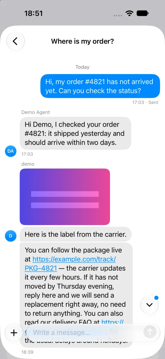 A thread on iOS with blue bubbles for the user, grey bubbles for the team, an image, links and a jump-to-latest button with a dot