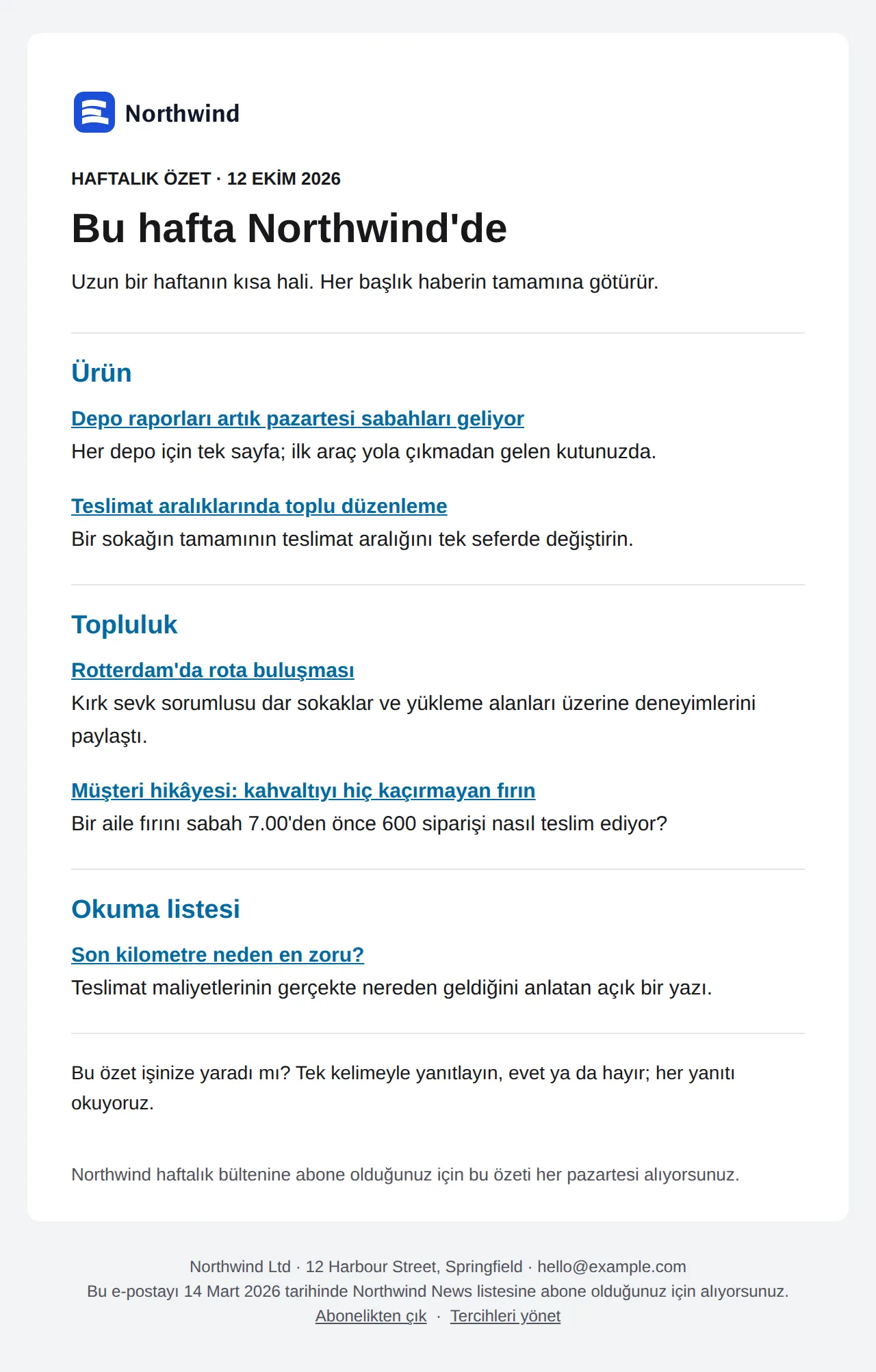 Özet şablonunun önizlemesi